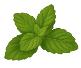 Mint