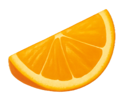 Orange Slice